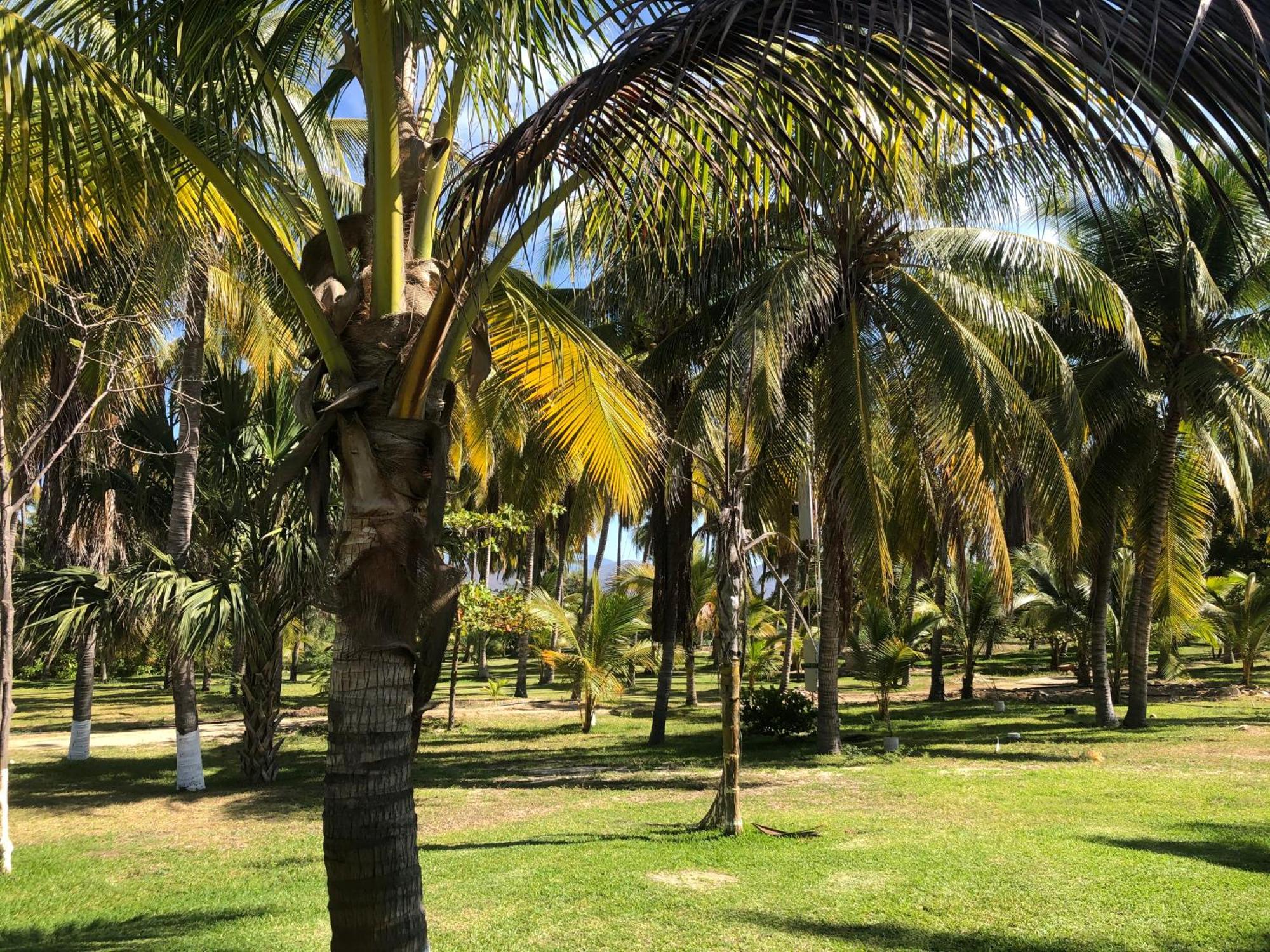 Casa Kundavi Beach Front Paradise Recado エクステリア 写真